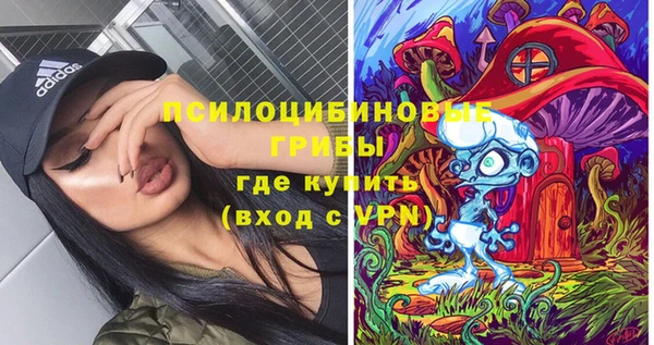 эйфоретик Алзамай
