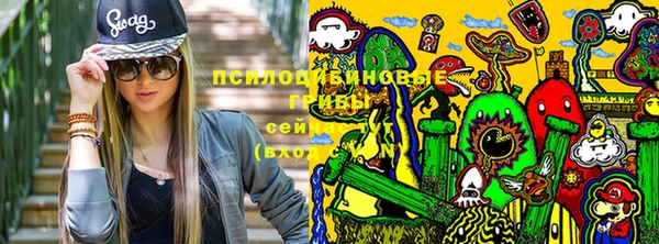 apvp Абаза