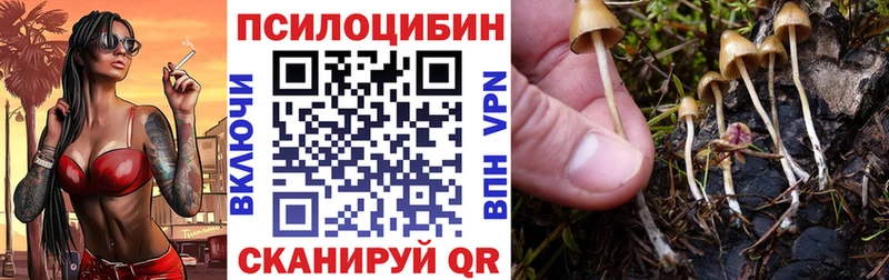 Галлюциногенные грибы ЛСД  маркетплейс какой сайт  Алексин 